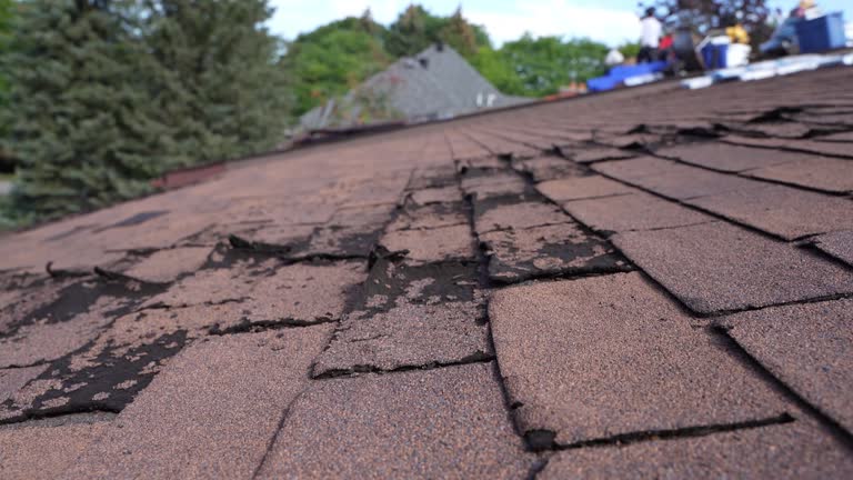 Best Wood Shake Roofing  in New Middletown, OH